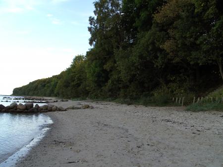 La plage &agrave; Aarhus!